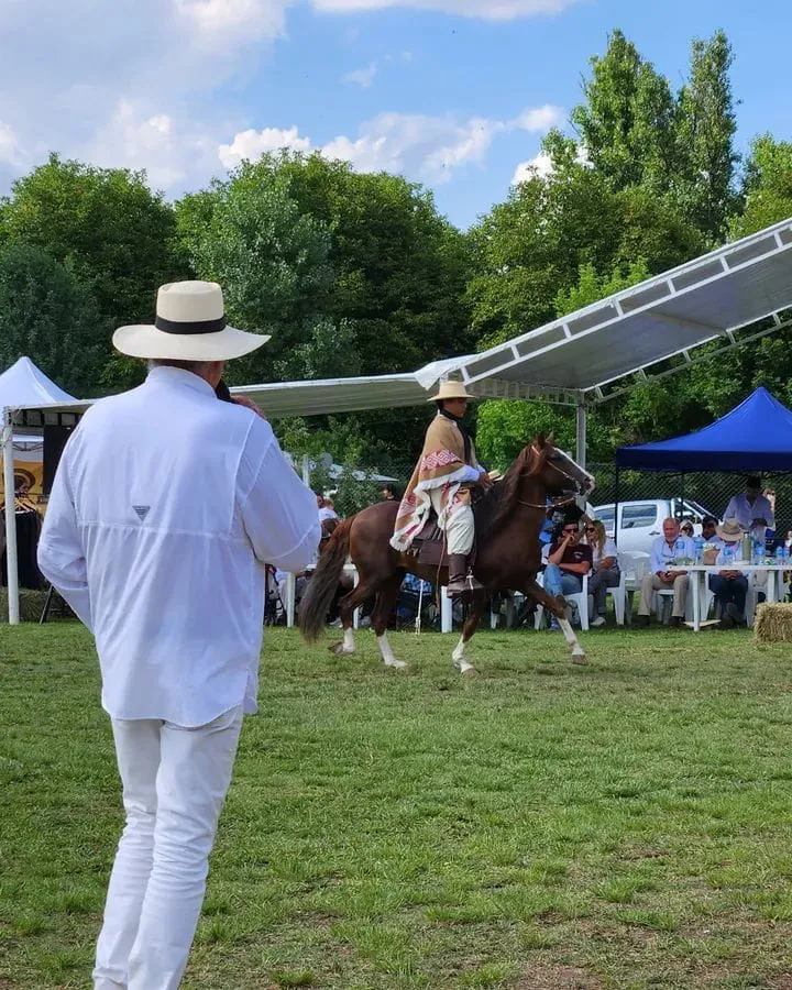 Solicitan transitar con precaución en la Cuesta de El Clavillo