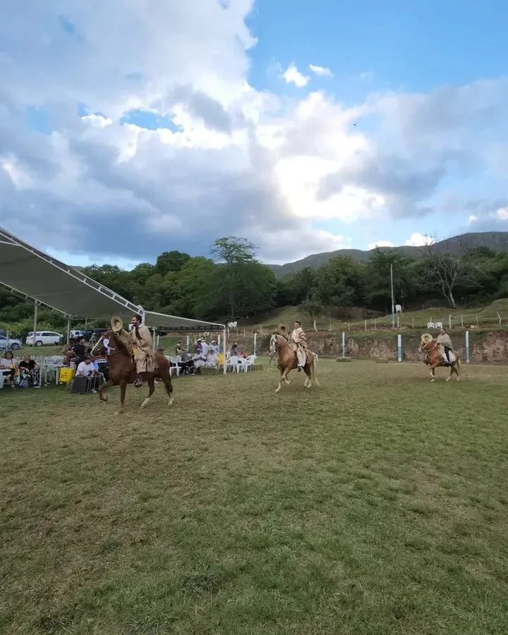 Solicitan transitar con precaución en la Cuesta de El Clavillo