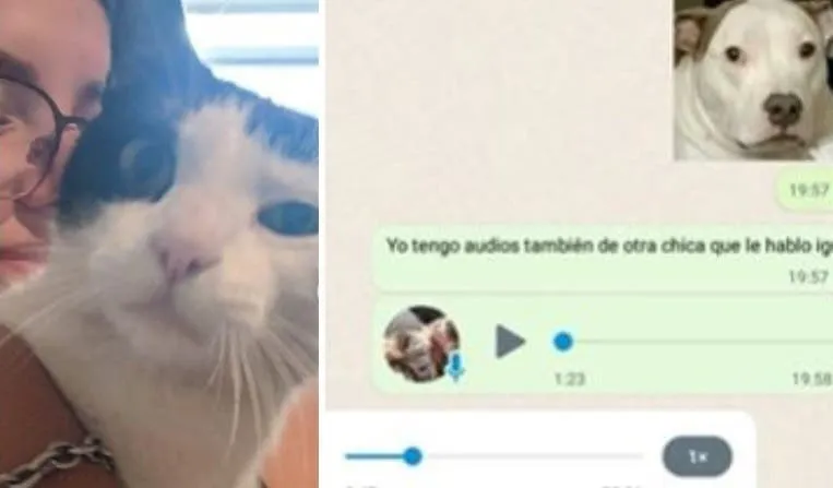 Sólo con DNI, anotate para cobrar hasta $240.000