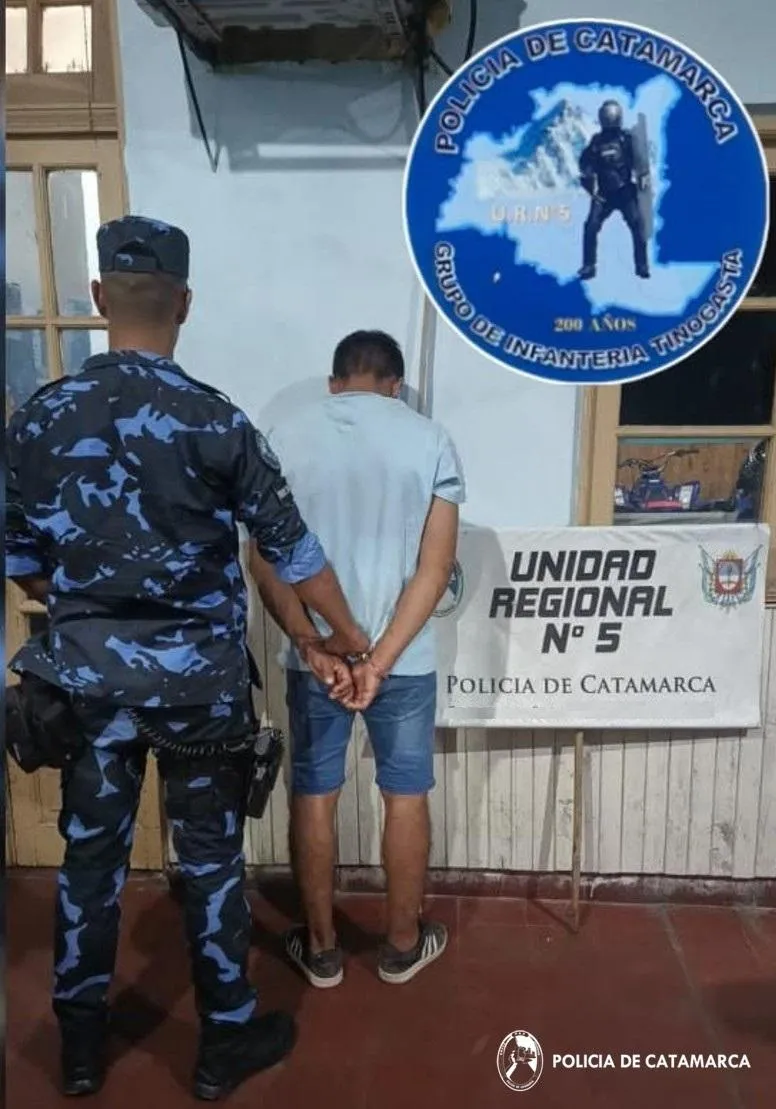 Sorpresa en medio de las carpas: un elefante marino se instaló en el Balneario