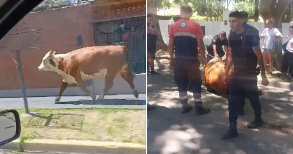 Sospechosa muerte de un juez federal de Entre Ríos, al caer desde un edificio en Concepción del Uruguay