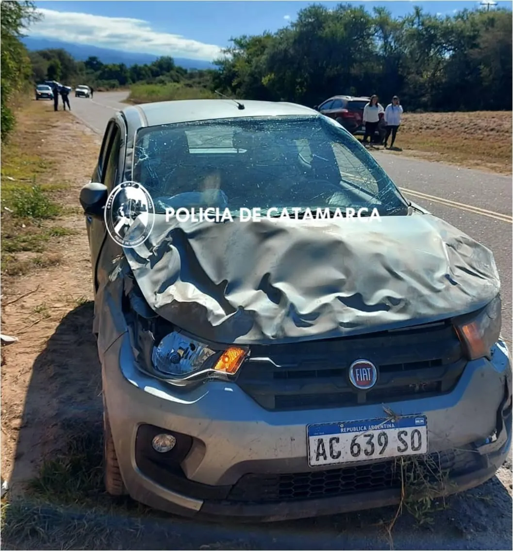 Su expareja la atacó a piñas