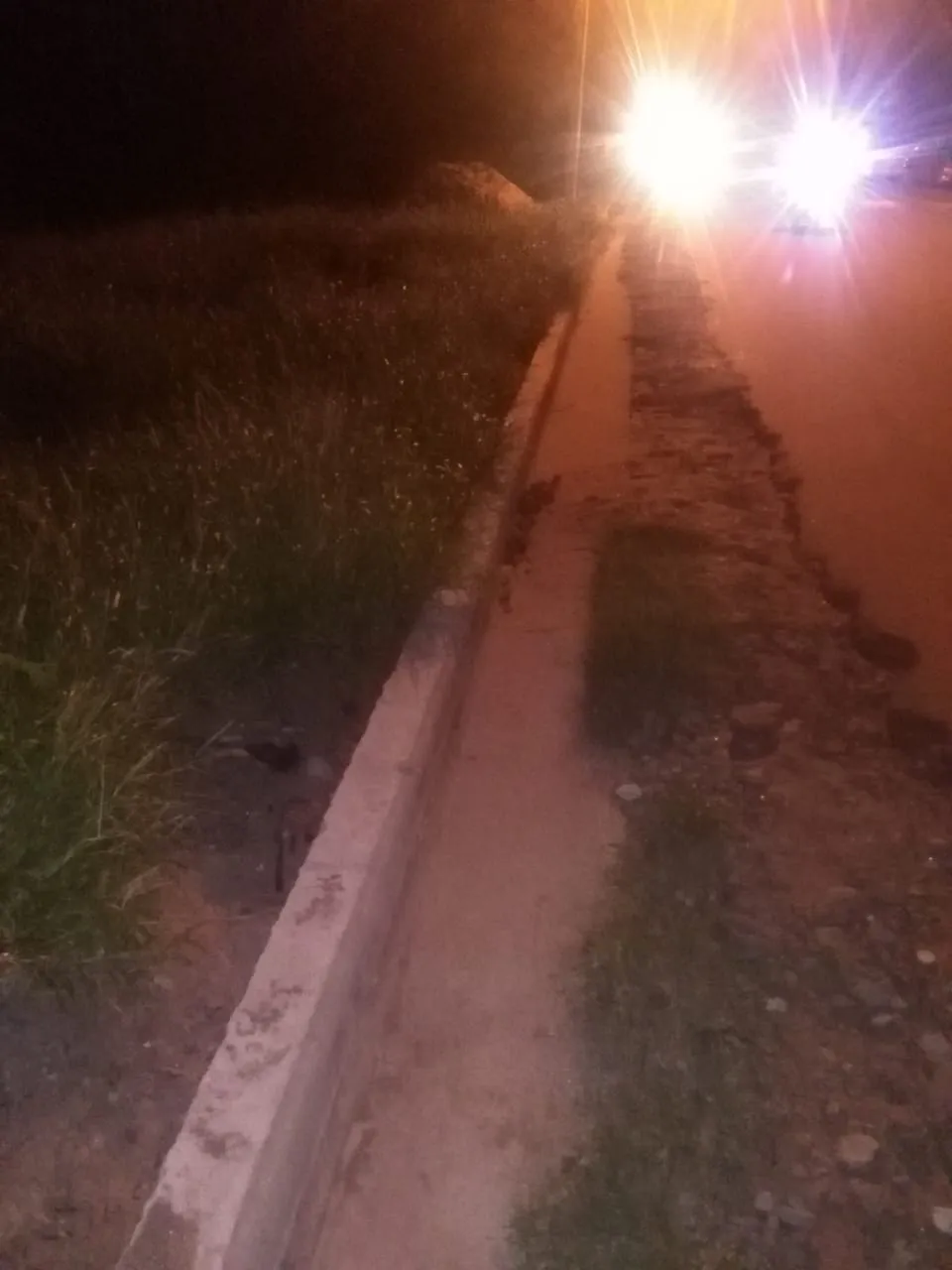 Su hija tenía gusanos en la cabeza, pero echó a la enfermera que la atendía y amenazó con matar a todos