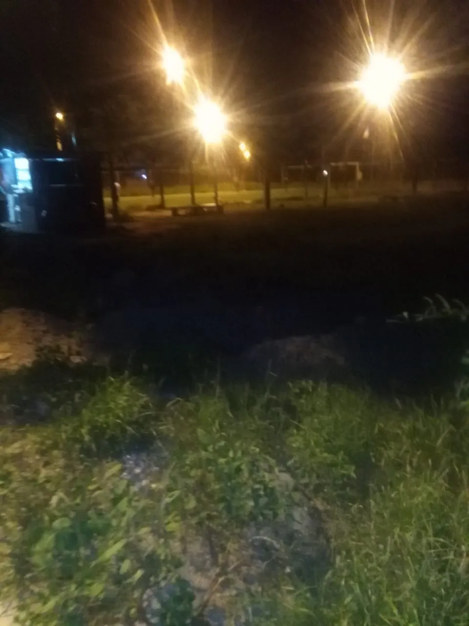 Su hija tenía gusanos en la cabeza, pero echó a la enfermera que la atendía y amenazó con matar a todos