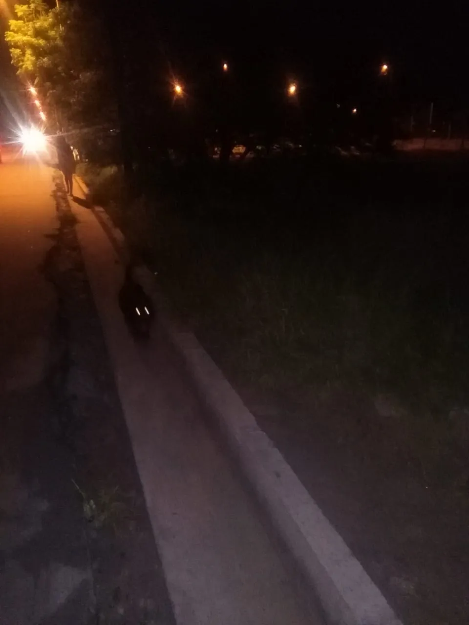 Su hija tenía gusanos en la cabeza, pero echó a la enfermera que la atendía y amenazó con matar a todos