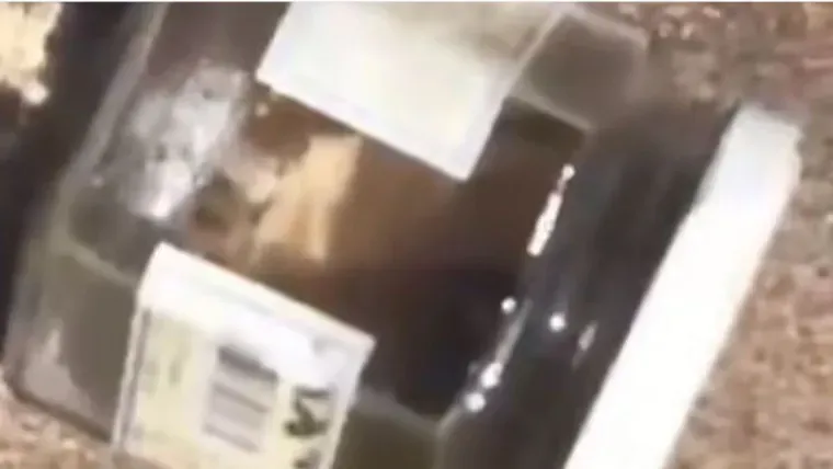Temor en redes por una supuesta fuga de CFK tras un video donde se la ve caminando