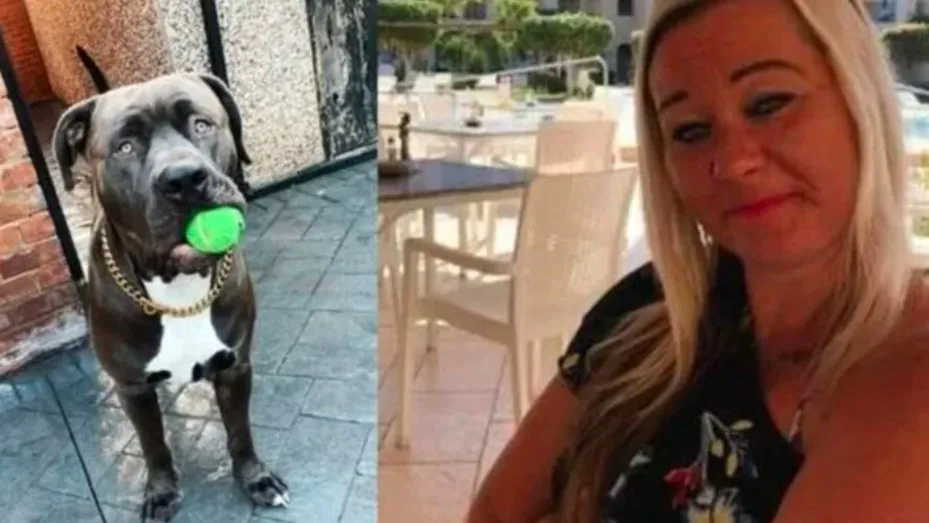 Tenía la casa sola, le cantó una canción para invitarla y el audio es viral