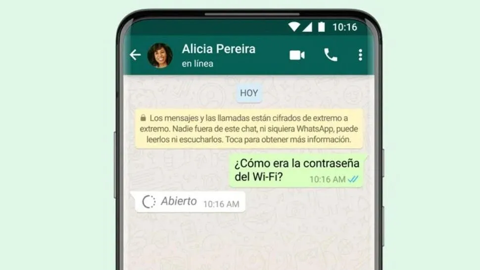 Tiene 12 años, viajó sola a Córdoba para visitar a su novio de 16 y se perdió