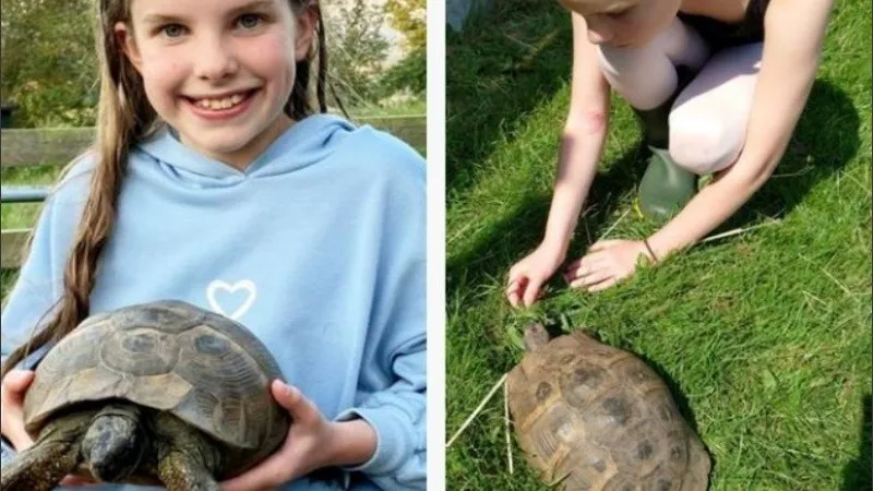 Tiene 17 años, tomó un remis y se negó a pagarlo