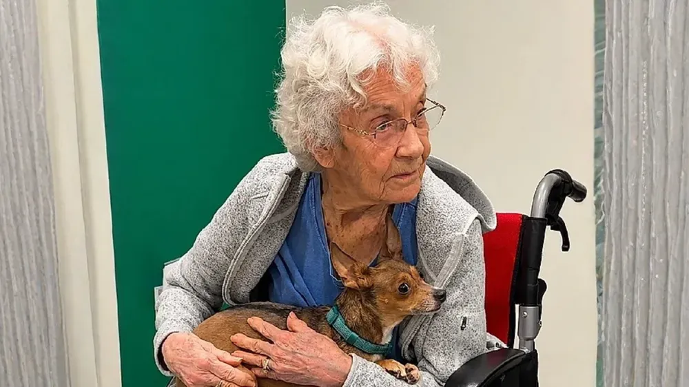 Tiene 90 años y quería un perro para no sentirse sola: adoptó a una chihuahua ciega