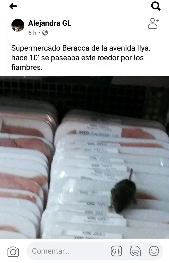 "Todos los ediles están comprados por el Intendente"