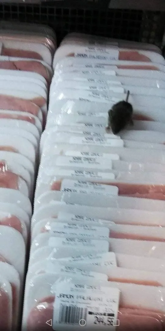 "Todos los ediles están comprados por el Intendente"