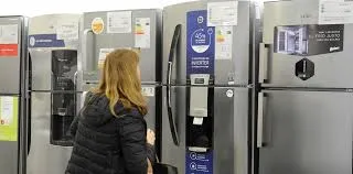 Tras medidas Judiciales recuperaron un can y un electrodoméstico sustraídos en la Capital