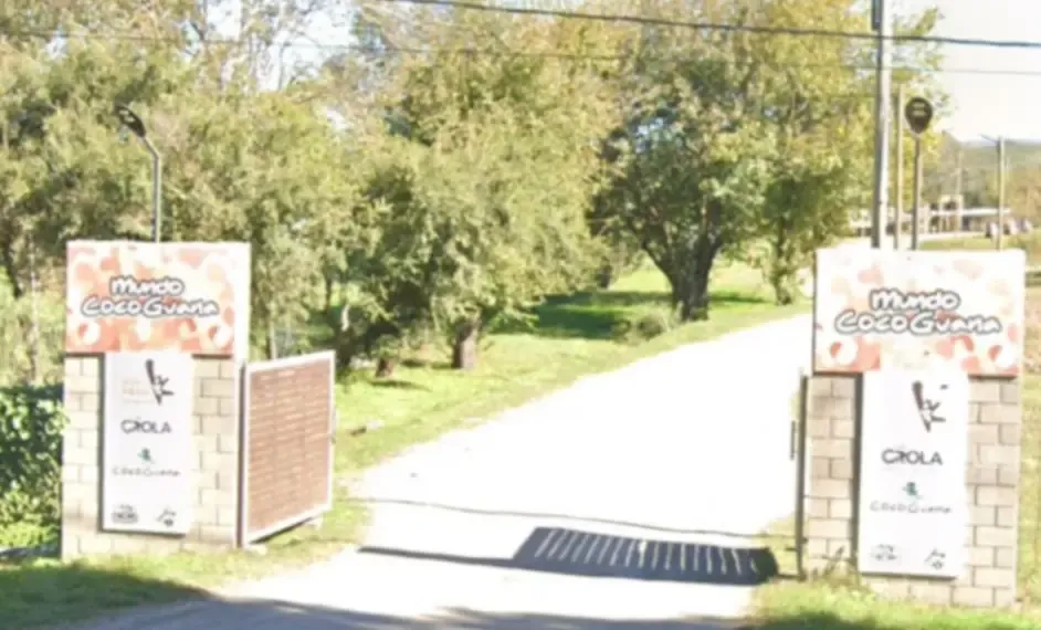 Tras un siniestro vial aprehenden a un hombre