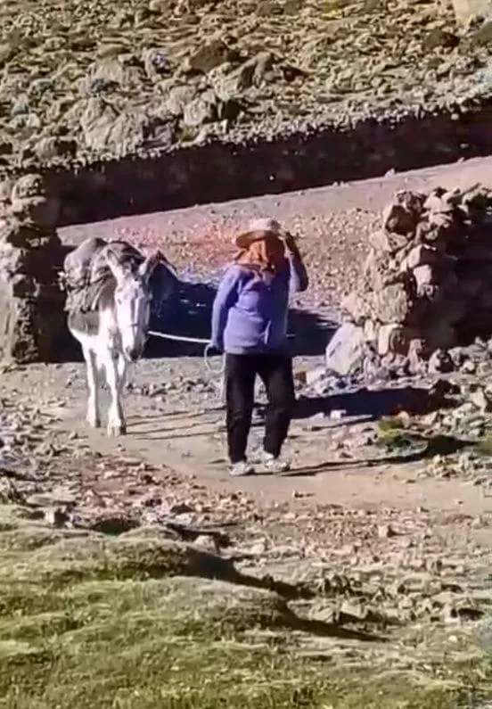 Tremendo choque en Avenida Presidente Castillo