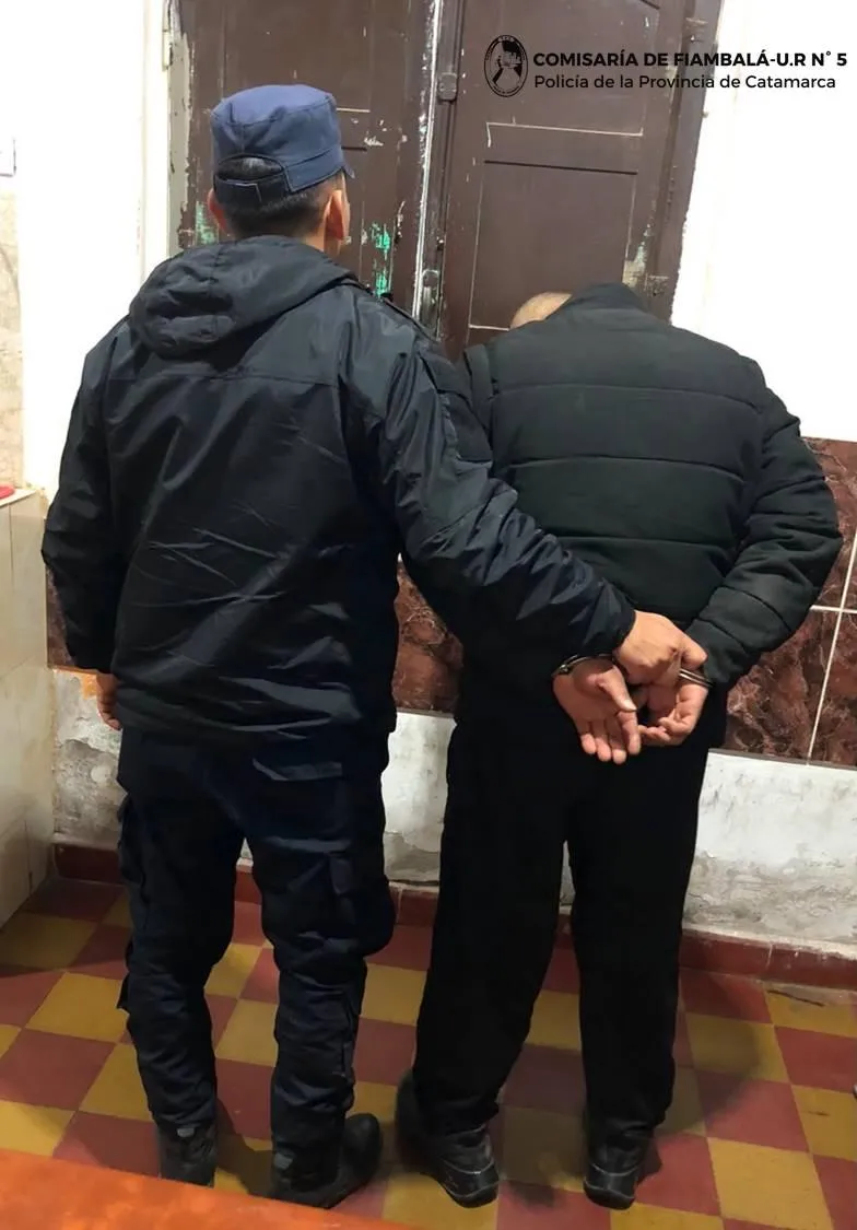 Trucos caseros para eliminar el olor a perro del hogar