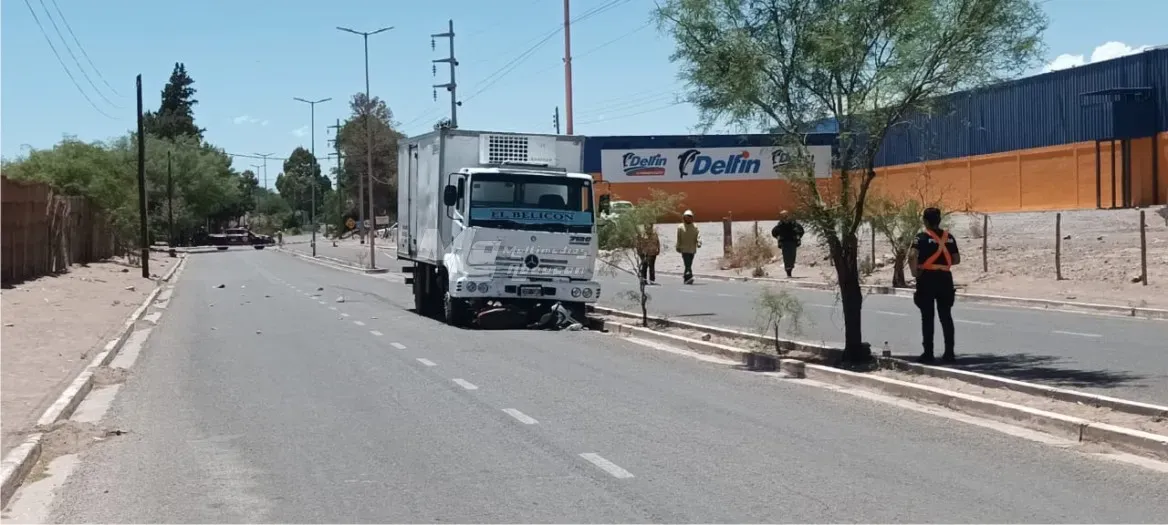 Tucumán: Promulgaron la ley que prohíbe el uso de animales para la tracción de cargas en toda la provincia