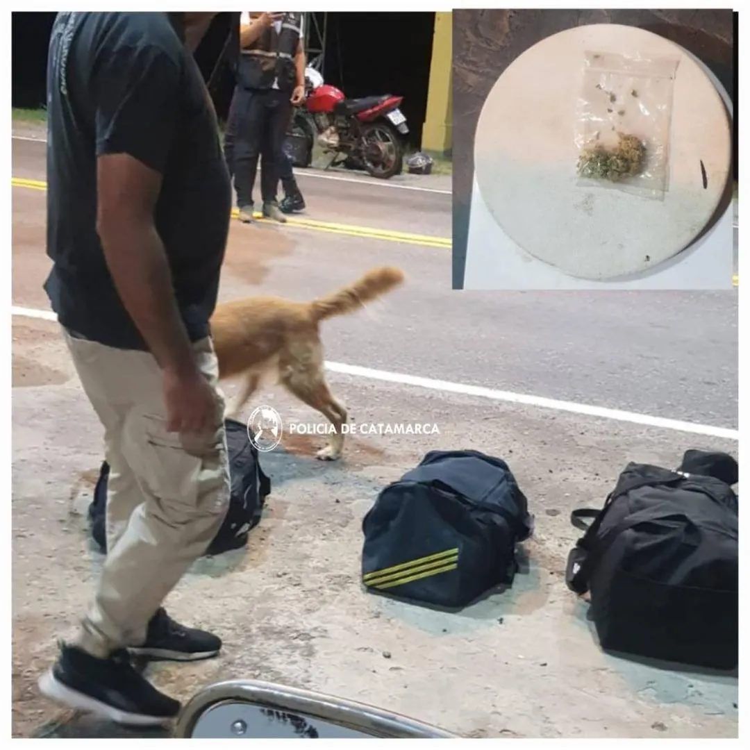 Un abogado y su hijo, detenidos por contrabando, se fugaron y escondieron en el monte los neumáticos