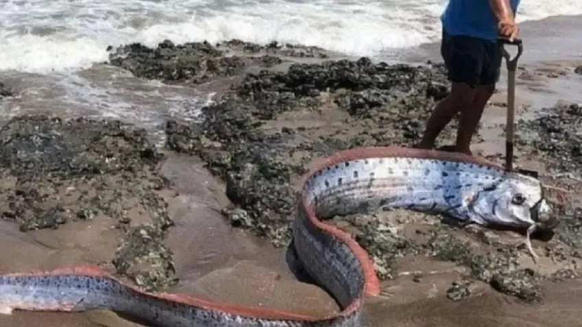 Un Aconquija sufrió el reventón de una rueda y causó pánico en la ruta 307