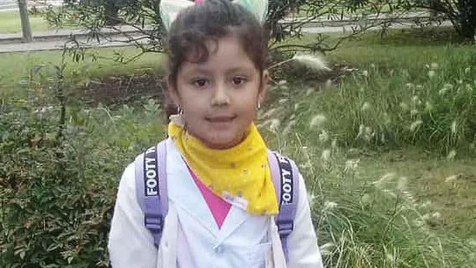 Un adolescente de 16 años violó a una nena de 8 y fue entregado por su madre