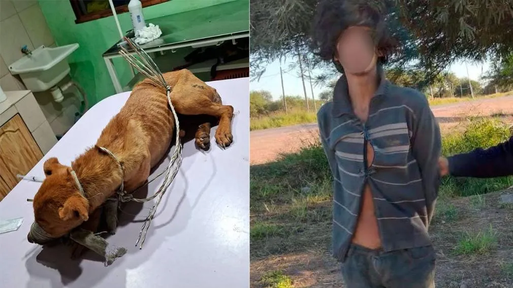 Un auto con 4 ocupantes quedó varado en la Hostería Cuesta El Portezuelo