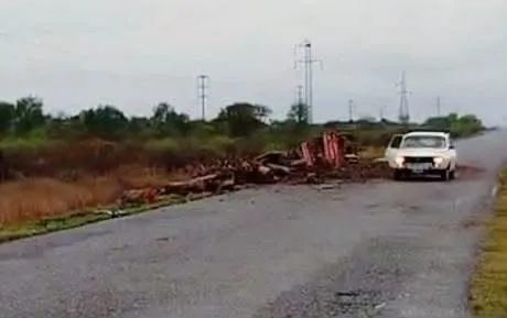 Un camión perdió su carga de leña y el tránsito se ve afectado