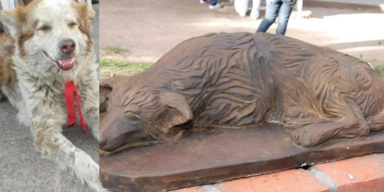 Un carnicero empezó a vender “dedos de chorizo” en homenaje al rey Carlos III: “Me voy a ir al infierno”