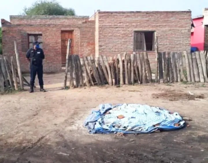 “¡Un cocodrilo era, cu...!”: el video viral de los cordobeses que salieron de pesca