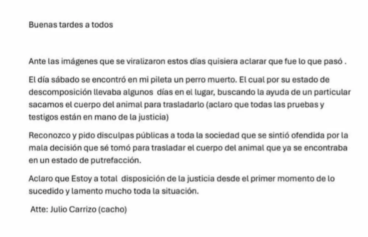 Un divorcio y amenazas: las hipótesis detrás del caso de la mujer acusada de matar a sus dos hijos
