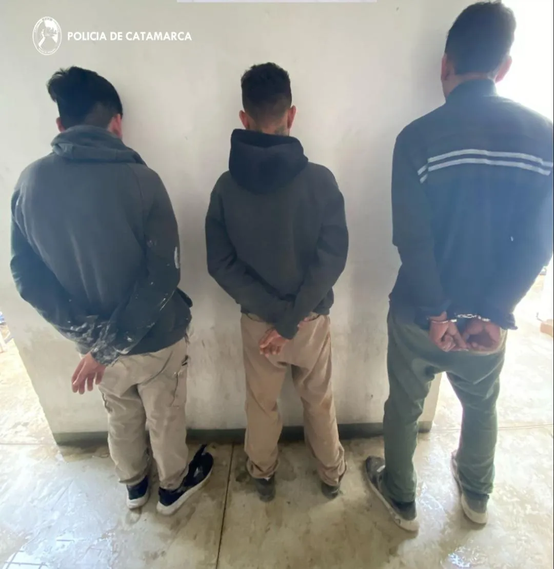 Un grupo de investigadores chinos revivieron a un cerdo que estuvo muerto durante una hora