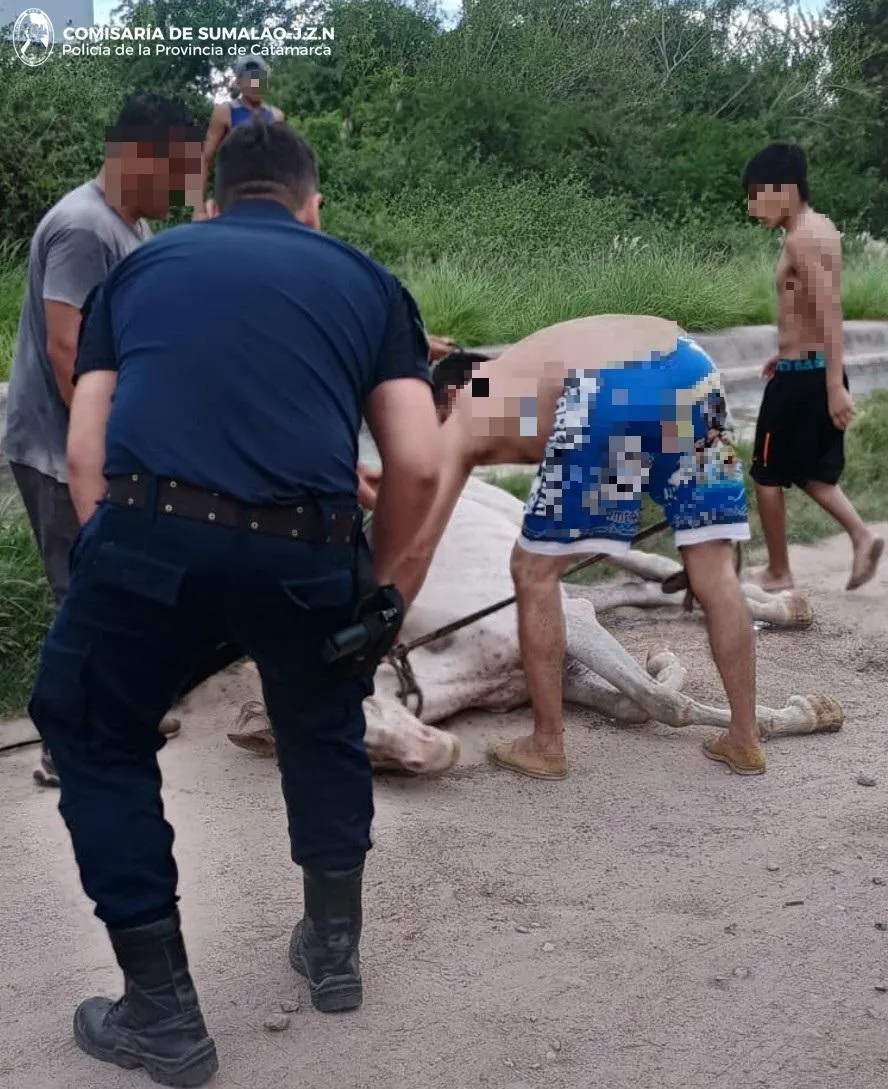 Un hombre encerró a su pareja y le dio una golpiza