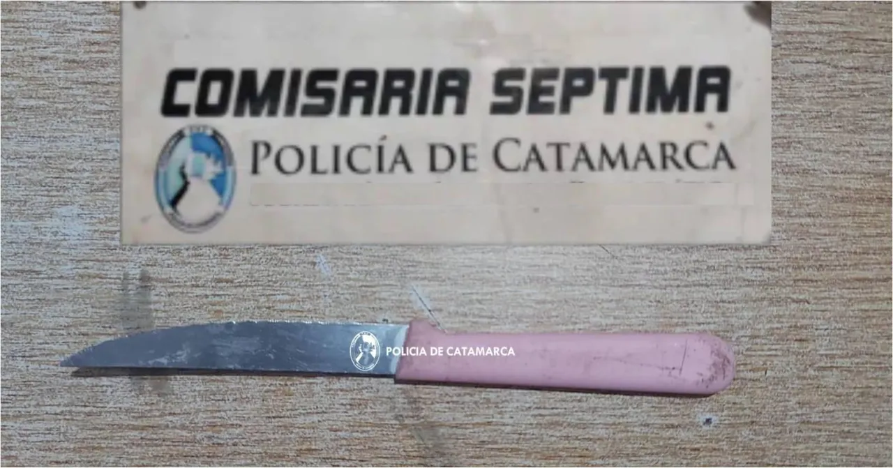 Un hombre golpeó a su pareja, 14 años menor que él