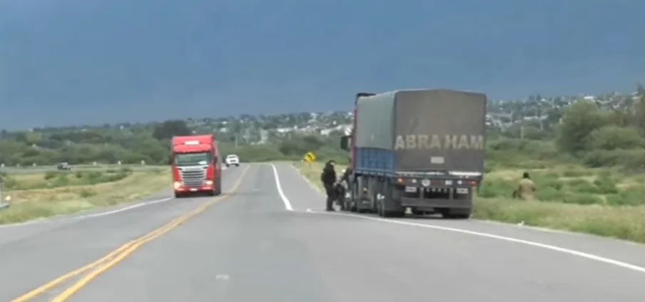 Un kakuy se dejó ver en Santiago del Estero interrumpiendo la siesta con su canto