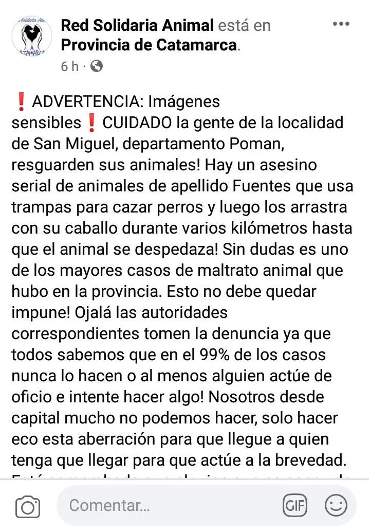 Un perro atacó y desfiguró la cara a un niño