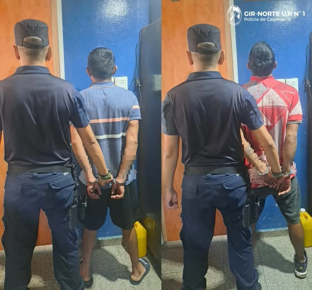 Un pitbull atacó salvajemente a una beba de un año