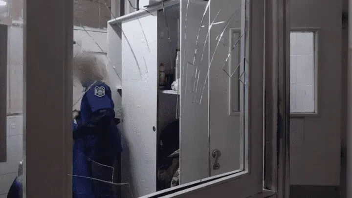 Un pitbull le arrancó el brazo a un ladrón y el animal podría ser sacrificado