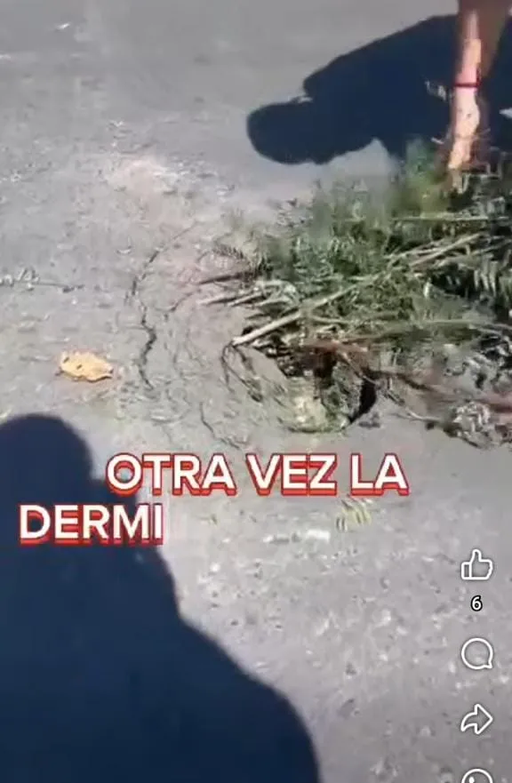 Un policía baleó a su cuñado tras haberse enterado que era el amante de su esposa