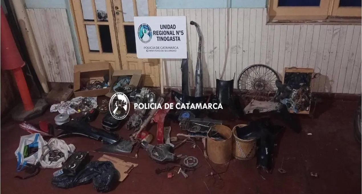 Un puma sorprendió a los vecinos: video