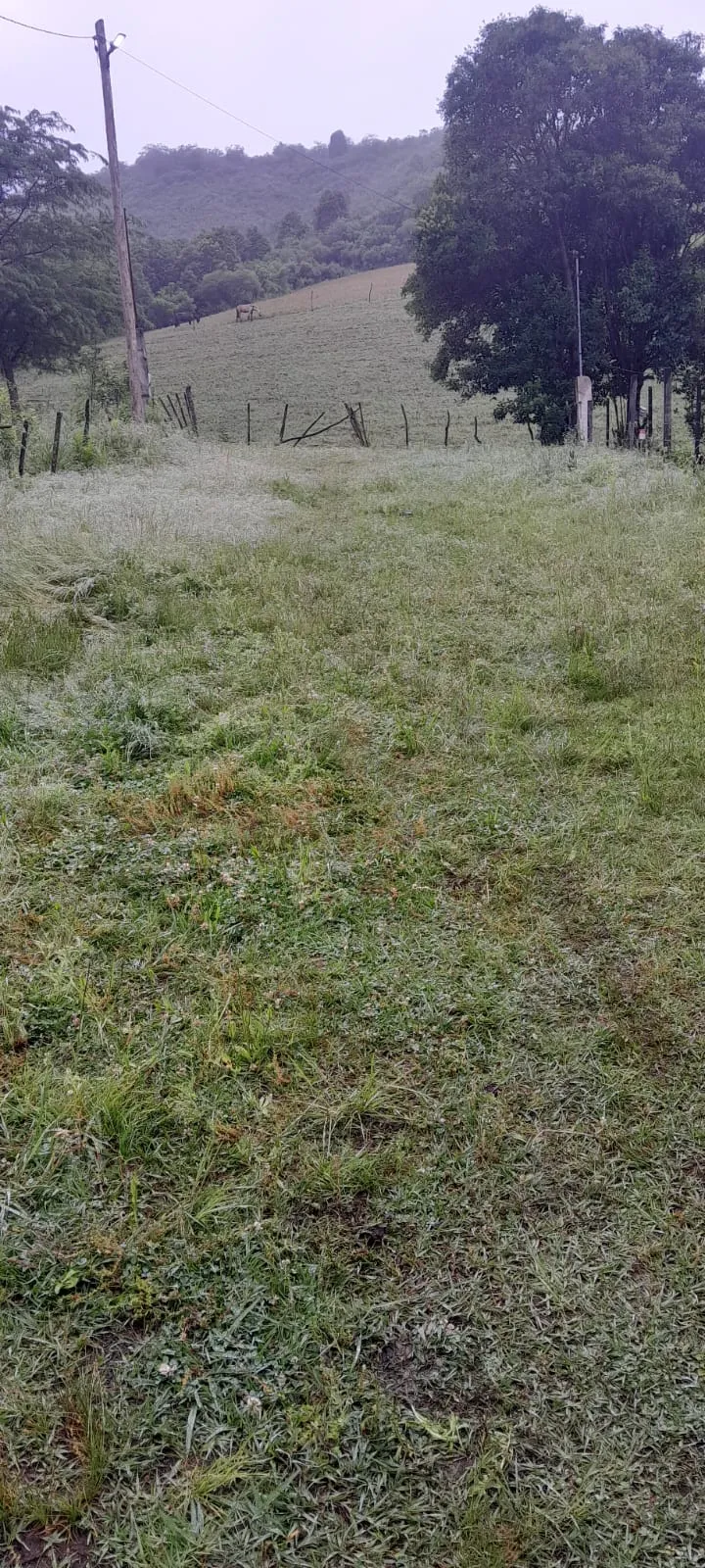Un sujeto de 32 años amenazó y agredió a su pareja de 54