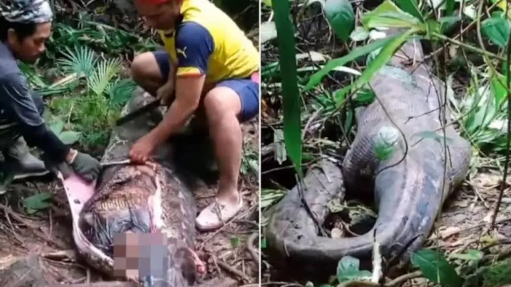 Un sujeto que se comporta como poseído tiene en vilo a toda una ciudad
