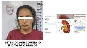 Una chica le sacó fotos a las tarjetas de crédito de varias amigas de Yanina Latorre y gastó 25 mil dólares