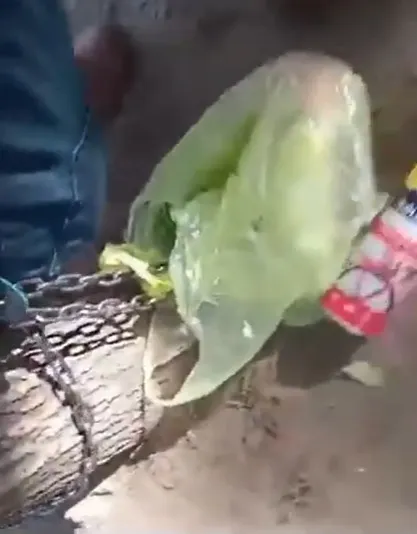 "Una decadencia total"