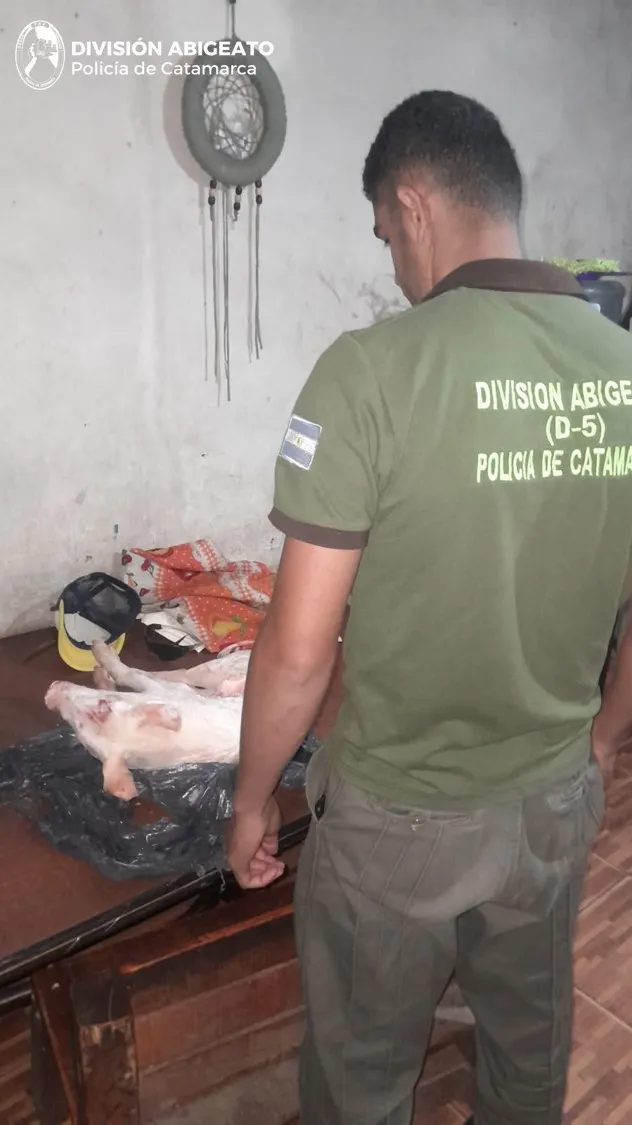 Una empleada doméstica abrió una caja fuerte y se robó más de 11 mil dólares