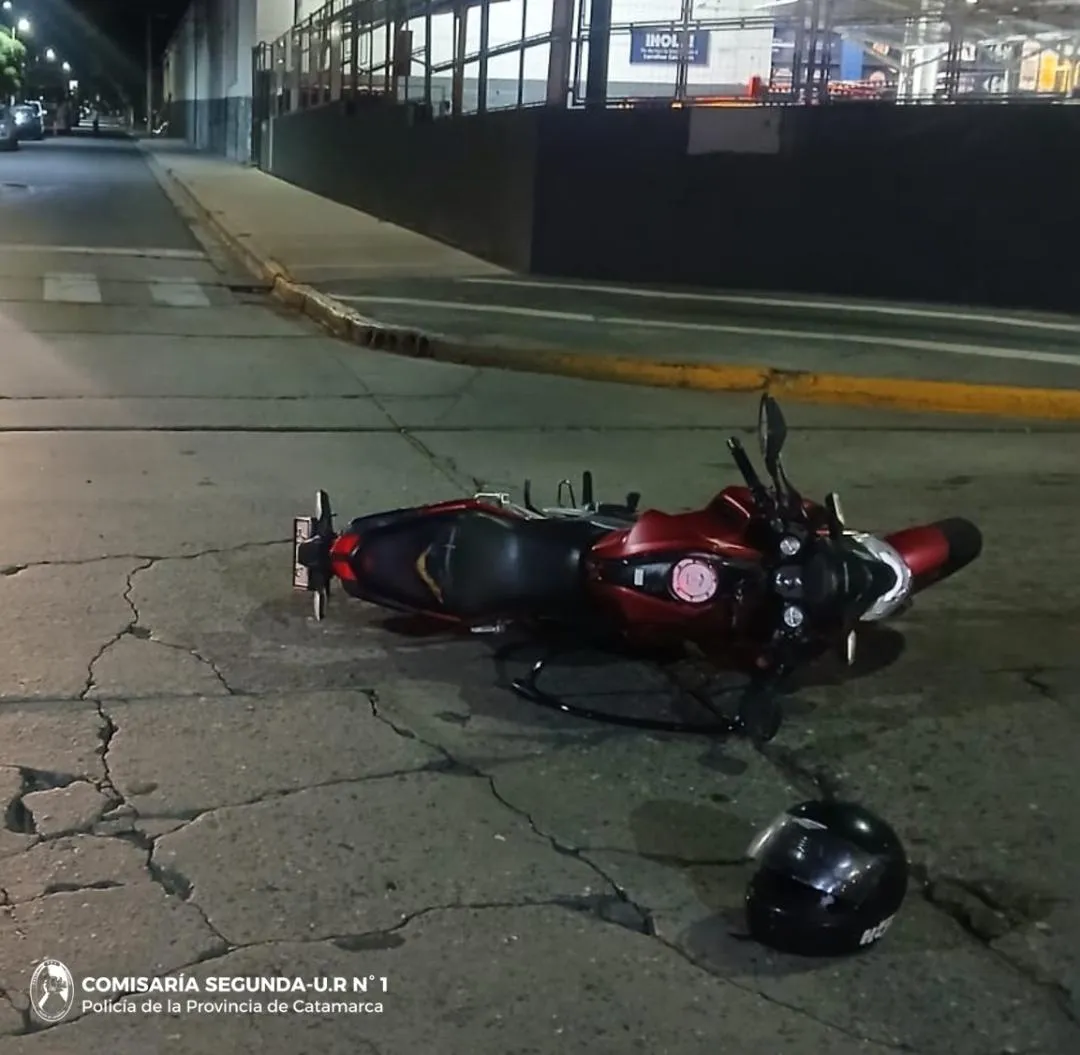 Una fotógrafa pintó de rosa un elefante para una sesión, el animal murió y despertó una ola de críticas