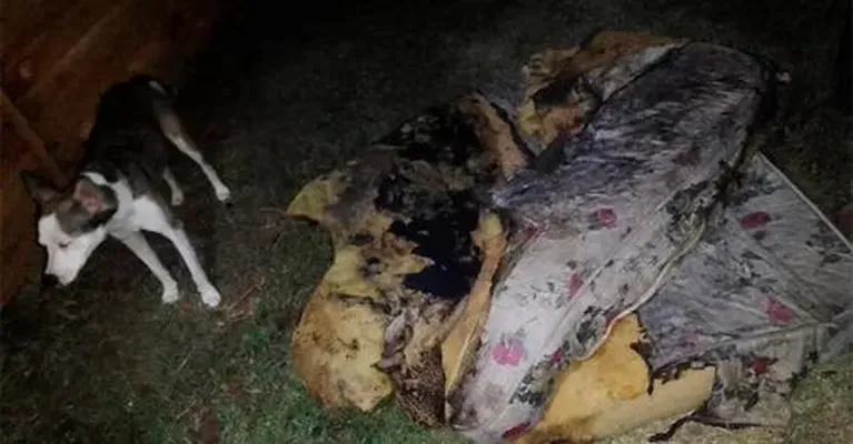 Una madre y su hijo de 5 años fueron encontrados muertos a balazos en un departamento