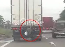 Una mujer agredió físicamente a personal policial en un boliche