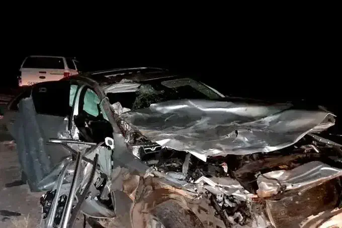 Una mujer de 73 años murió cuando el auto en el que viajaba chocó contra dos caballos en la ruta