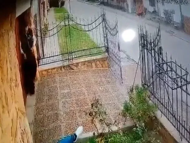 Una nena de 10 años dio a luz a una beba: fue violada por dos familiares