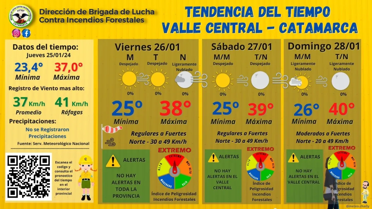 Una nena de 9 años fue atacada por un pitbull y se encuentra internada en grave estado
