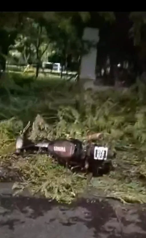Una nena murió deshidratada después de que su papá la obligara a saltar en un trampolín como castigo